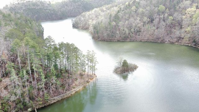 497 S Jakes Landing Way, Ellijay, GA 30540