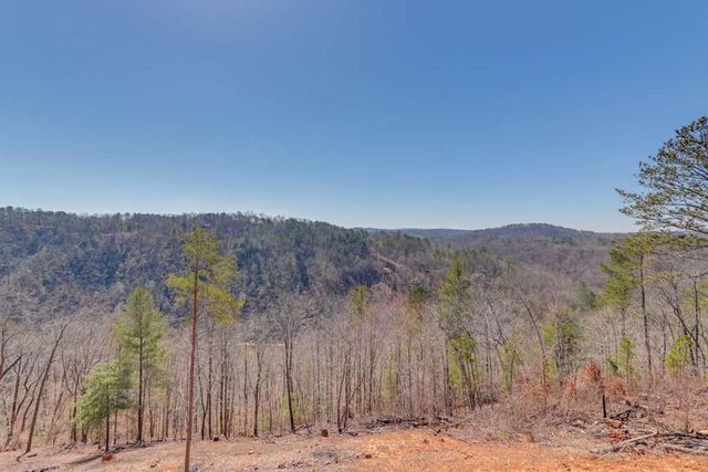 497 S Jakes Landing Way, Ellijay, GA 30540