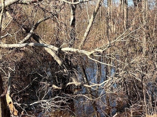 32 Locust Rd, Orleans, MA 02653