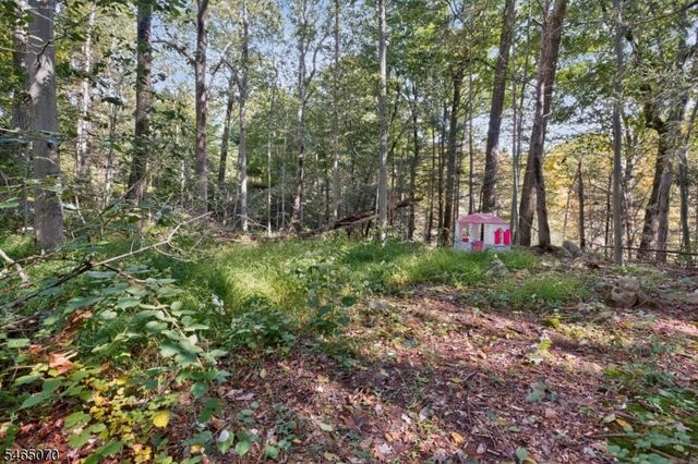 48 Lebanon Rd, West Milford Twp., NJ 07421