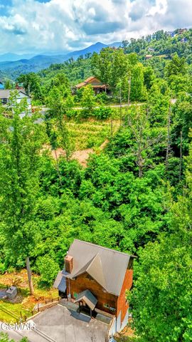 367 Wiley Oakley Drive, Gatlinburg, TN 37738
