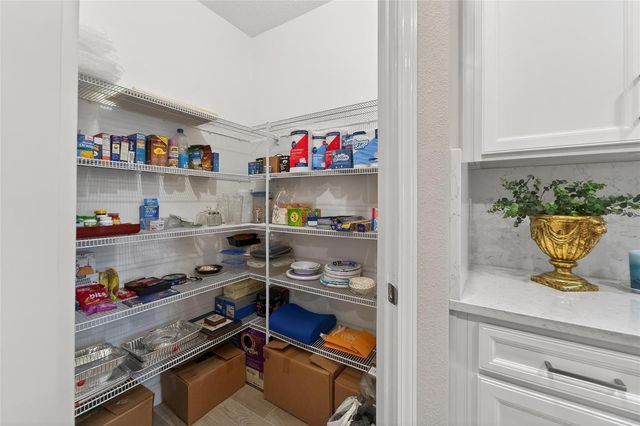 17011 CLEAR CORK DRIVE, Wimauma, FL 33598