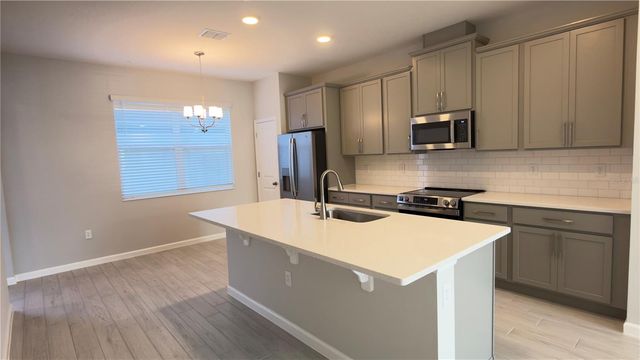 438 LADY PALM STREET, Apopka, FL 32703