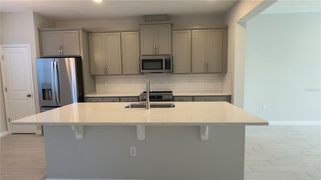 438 LADY PALM STREET, Apopka, FL 32703