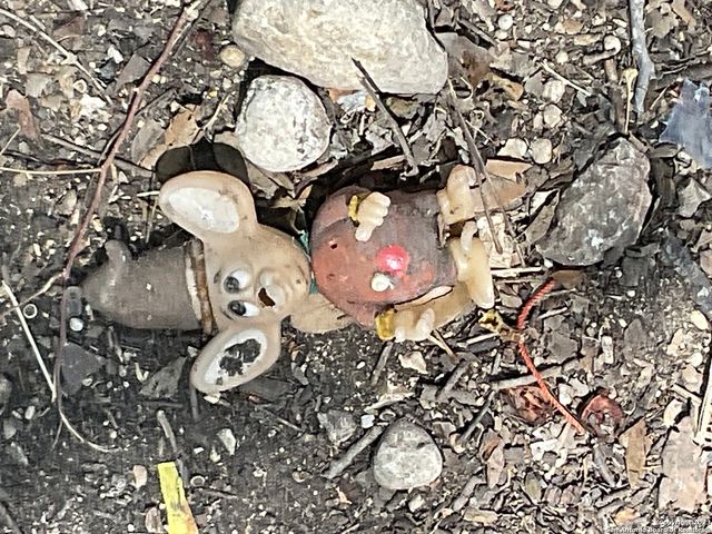 309 MOUNT VERNON CT, San Antonio, TX 78223