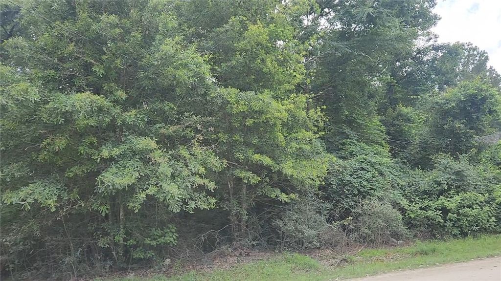 Lot 5 Tawnyberry Lane, Plantersville, TX 77363 — photo 2