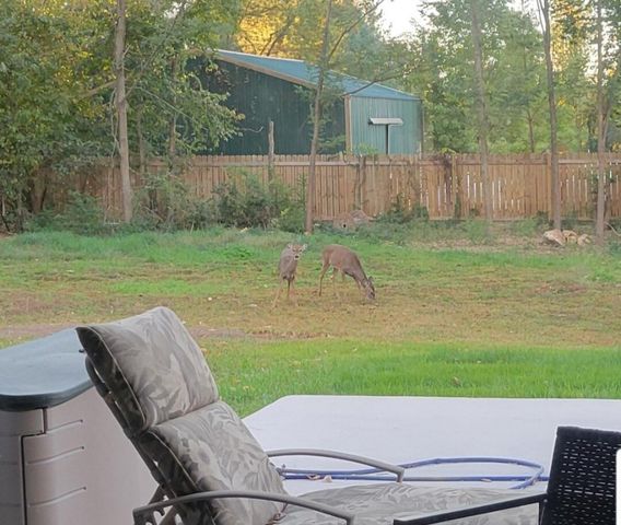 2538 E Farm Road 188, Ozark, MO 65721