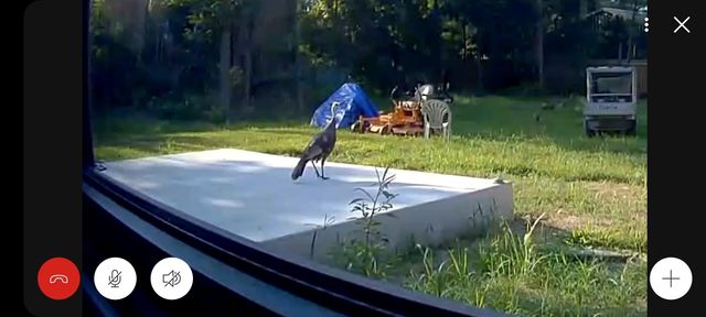 2538 E Farm Road 188, Ozark, MO 65721