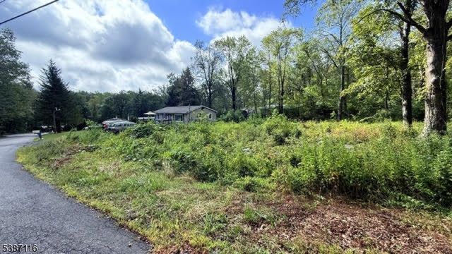 908 Willow Drive, Stillwater Twp., NJ 07860