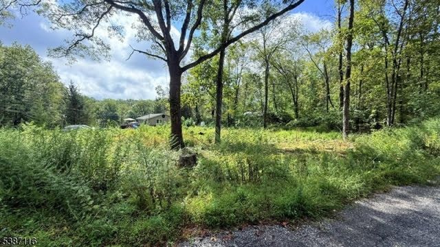 908 Willow Drive, Stillwater Twp., NJ 07860