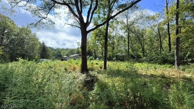 908 Willow Drive, Stillwater Twp., NJ 07860