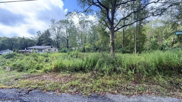 908 Willow Drive, Stillwater Twp., NJ 07860