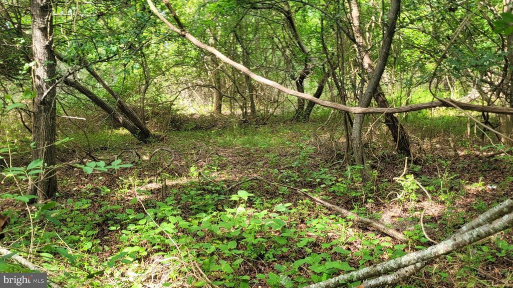 10028 N SCHOOL RD, Deal Island, MD 21821