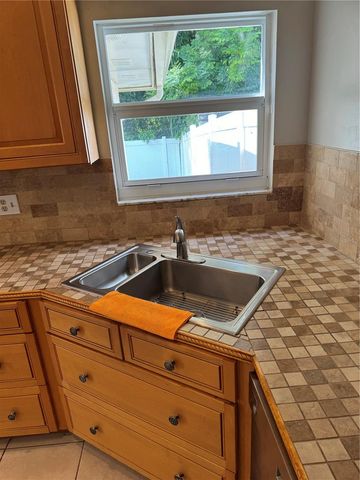 5906 BIRCHWOOD DRIVE, Tampa, FL 33625