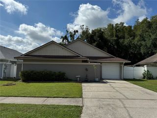 5906 BIRCHWOOD DRIVE, Tampa, FL 33625