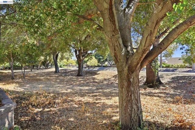 33483 Alvarado Niles Rd, Union City, CA 94587