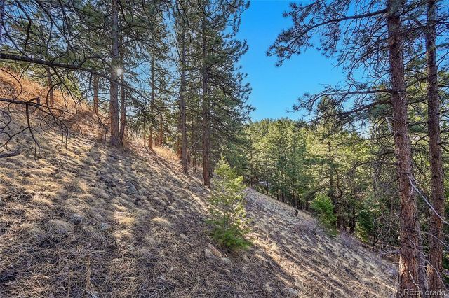 27292 Ridge Trail, Conifer, CO 80433
