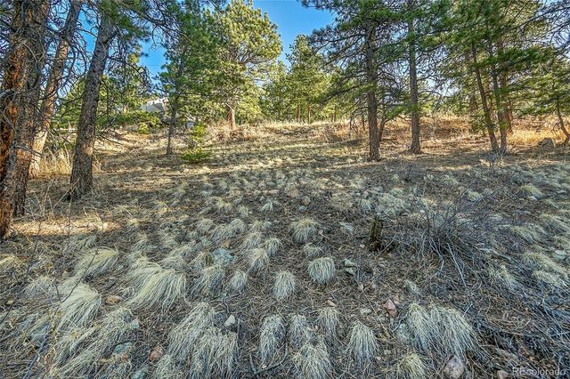 27292 Ridge Trail, Conifer, CO 80433