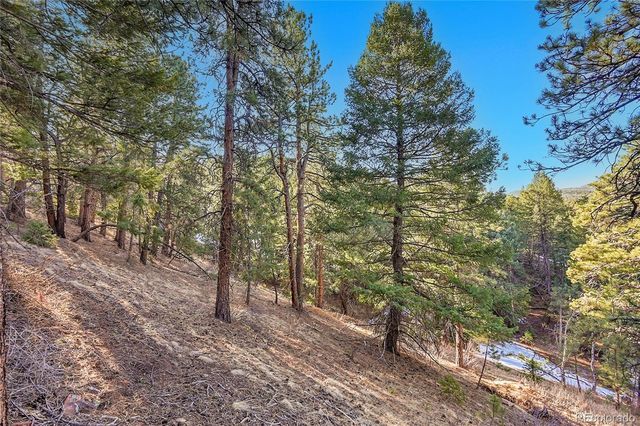 27292 Ridge Trail, Conifer, CO 80433