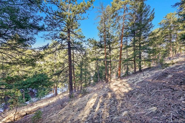 27292 Ridge Trail, Conifer, CO 80433