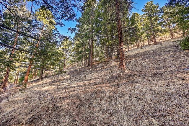 27292 Ridge Trail, Conifer, CO 80433