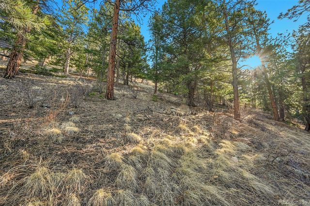 27292 Ridge Trail, Conifer, CO 80433
