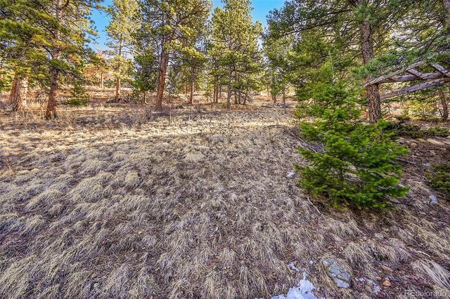 27292 Ridge Trail, Conifer, CO 80433
