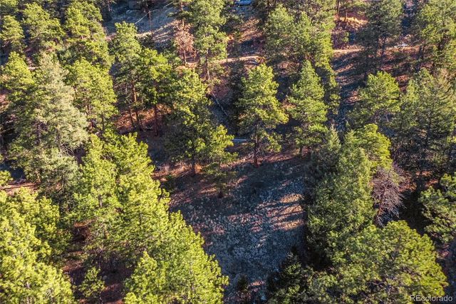 27292 Ridge Trail, Conifer, CO 80433