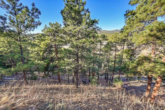 27292 Ridge Trail, Conifer, CO 80433