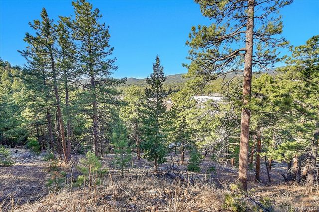 27292 Ridge Trail, Conifer, CO 80433