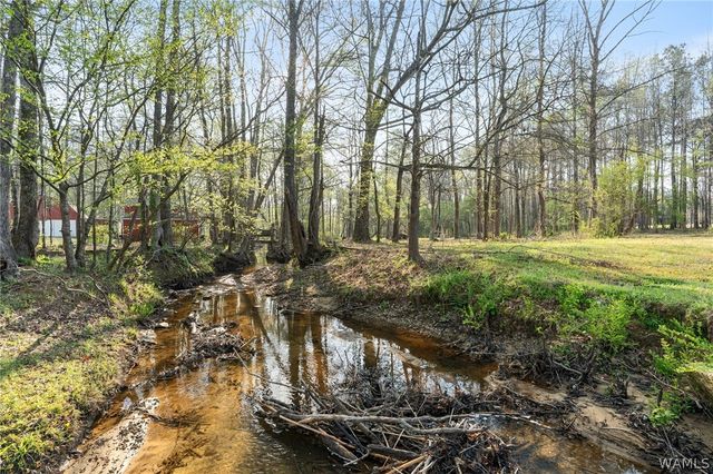 117 Fox Valley Drive, Alabaster, AL 35114