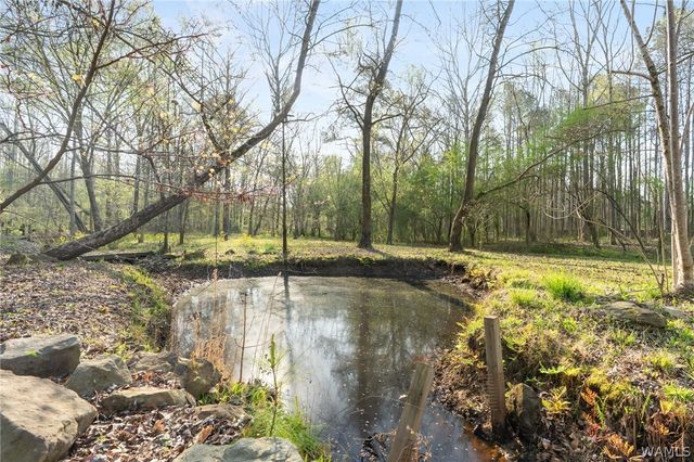 117 Fox Valley Drive, Alabaster, AL 35114