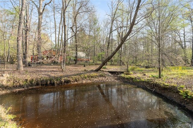 117 Fox Valley Drive, Alabaster, AL 35114