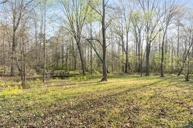 117 Fox Valley Drive, Alabaster, AL 35114