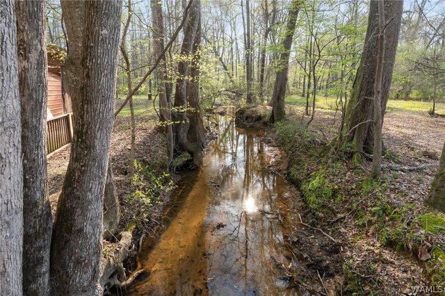 117 Fox Valley Drive, Alabaster, AL 35114