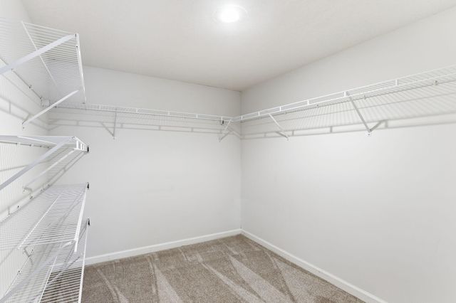 505 Quinlan Avenue N, Lakeland, MN 55043