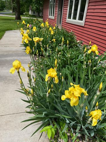 505 Quinlan Avenue N, Lakeland, MN 55043