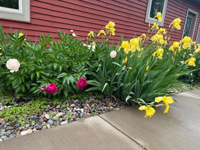 505 Quinlan Avenue N, Lakeland, MN 55043