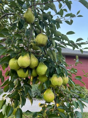 505 Quinlan Avenue N, Lakeland, MN 55043