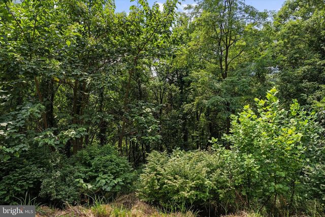 3967 HIDDEN VALLEY LN, Linden, VA 22642