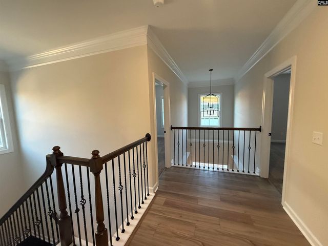 2347 Hadley Crossing, Chapin, SC 29036