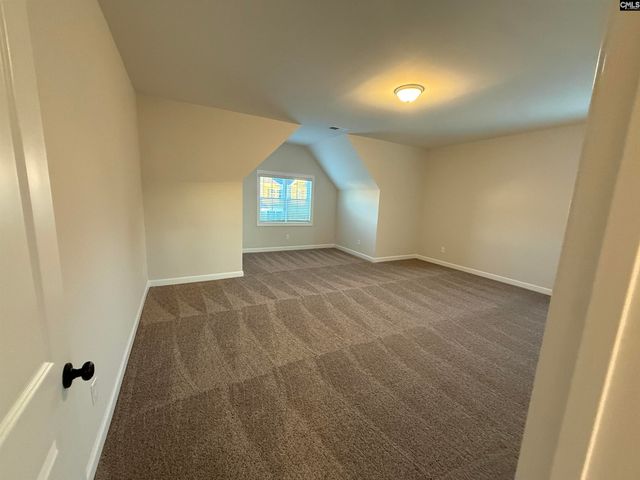 2347 Hadley Crossing, Chapin, SC 29036