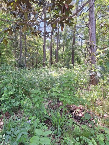 0 Woodland Lakes Drive, Shepherd, TX 77371