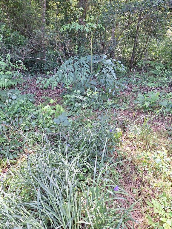 0 Woodland Lakes Drive, Shepherd, TX 77371