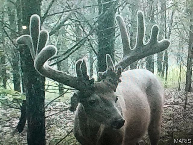 0 State Route 21, De Soto, MO 63020