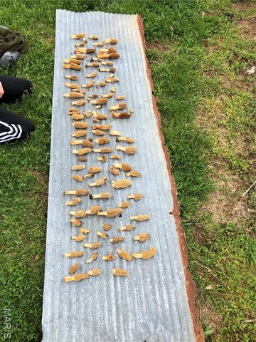 0 State Route 21, De Soto, MO 63020