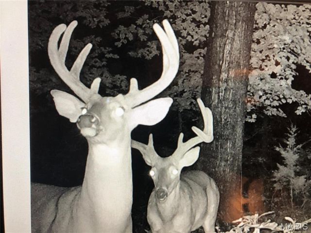 0 State Route 21, De Soto, MO 63020