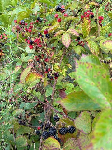 0 State Route 21, De Soto, MO 63020