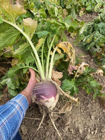 0 State Route 21, De Soto, MO 63020