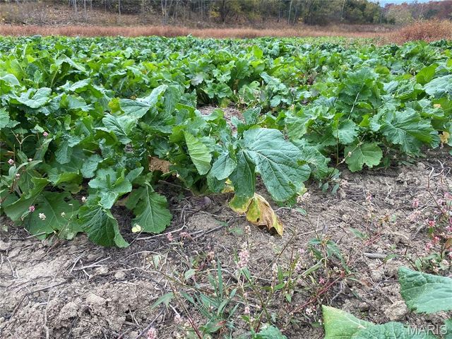 0 State Route 21, De Soto, MO 63020